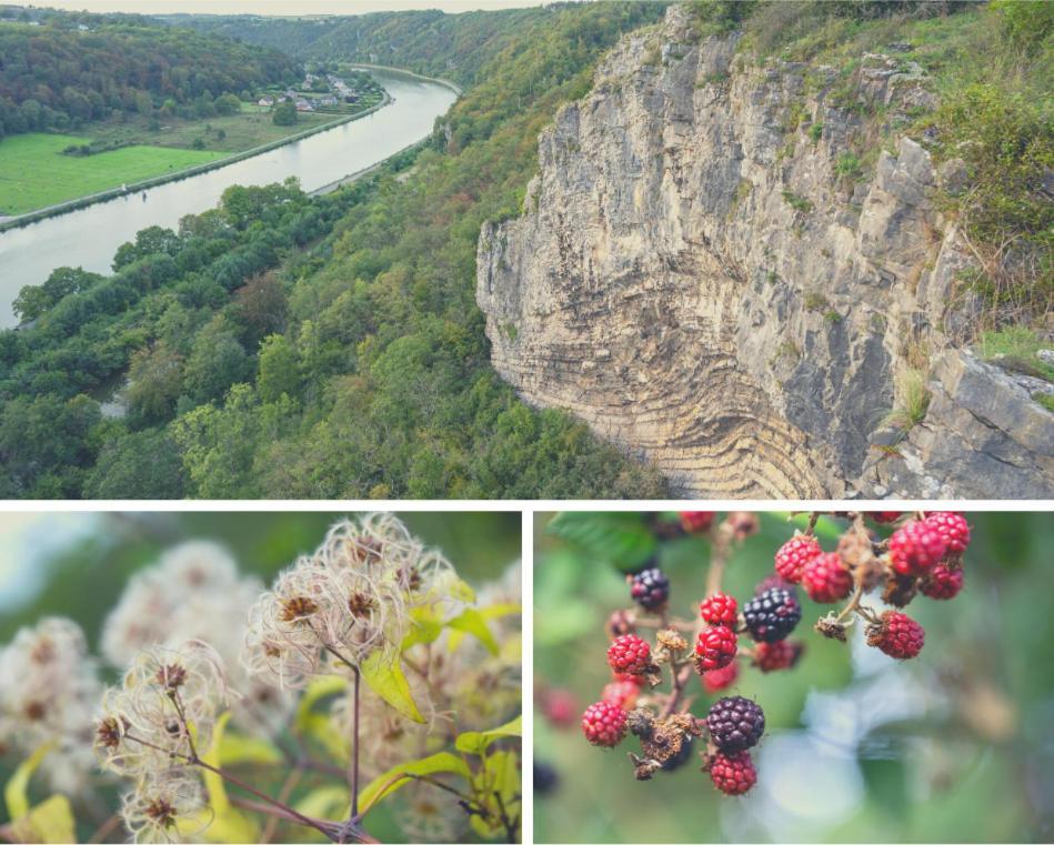Laissez-Vous Enchanter Par La Vallee De La Meuse Hastiere-par-dela Eksteriør bilde
